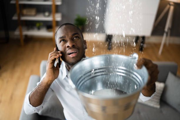 Carpet water damage restoration in UT