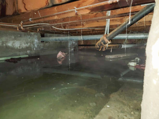 Best Commercial water damage restoration  in Cedar Hills, UT