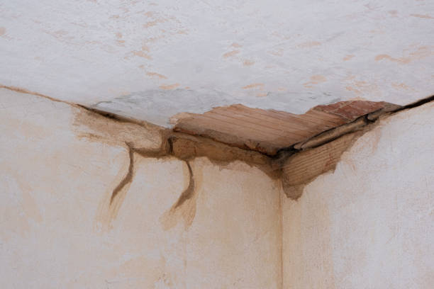 Best Professional water damage repair  in Cedar Hills, UT