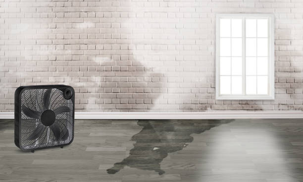 Best Flood restoration services  in Cedar Hills, UT