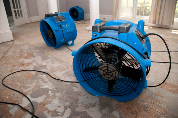 Best Carpet water damage restoration  in Cedar Hills, UT