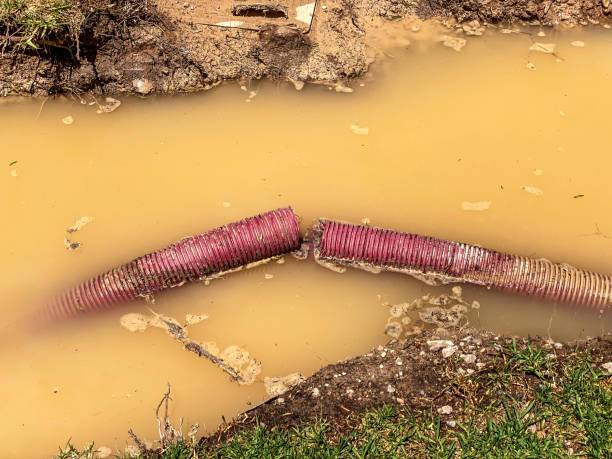 Best Water damage cleanup near me  in Cedar Hills, UT